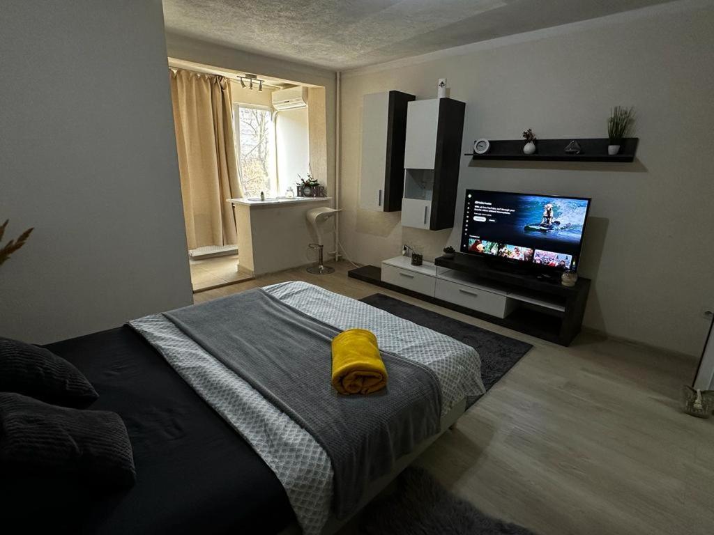 Reeas Apartament Тімішоара Екстер'єр фото