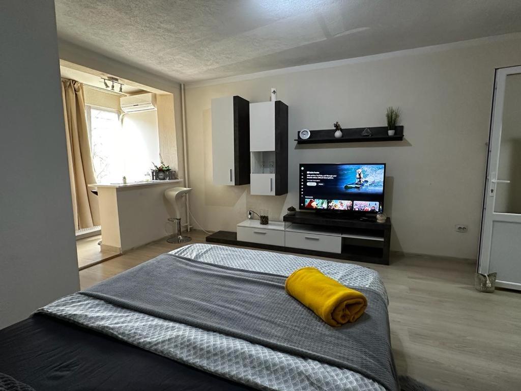 Reeas Apartament Тімішоара Екстер'єр фото