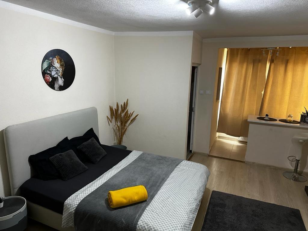 Reeas Apartament Тімішоара Екстер'єр фото