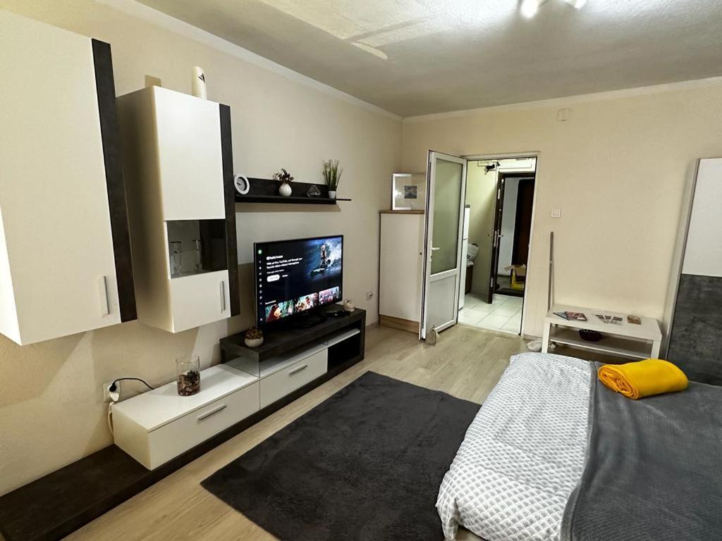 Reeas Apartament Тімішоара Екстер'єр фото