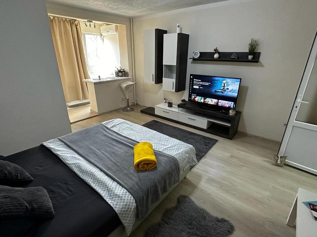 Reeas Apartament Тімішоара Екстер'єр фото