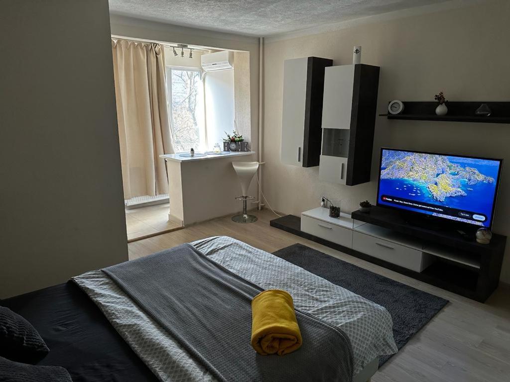 Reeas Apartament Тімішоара Екстер'єр фото