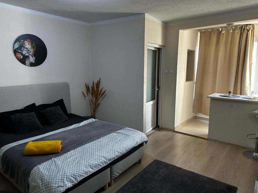 Reeas Apartament Тімішоара Екстер'єр фото