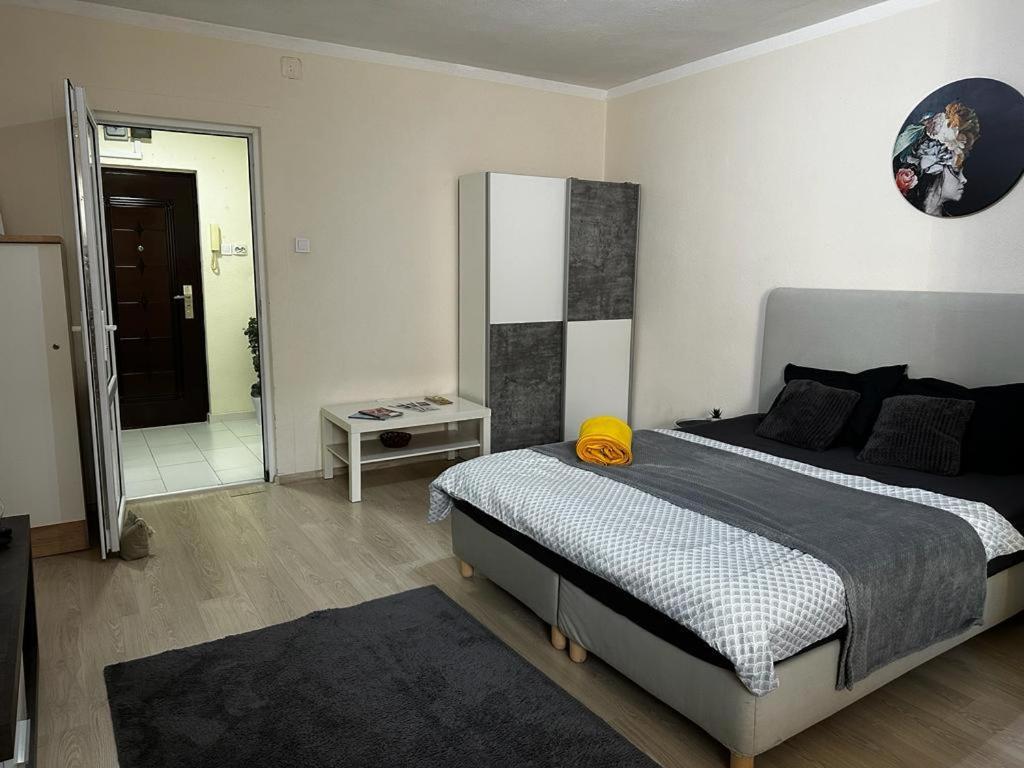 Reeas Apartament Тімішоара Екстер'єр фото