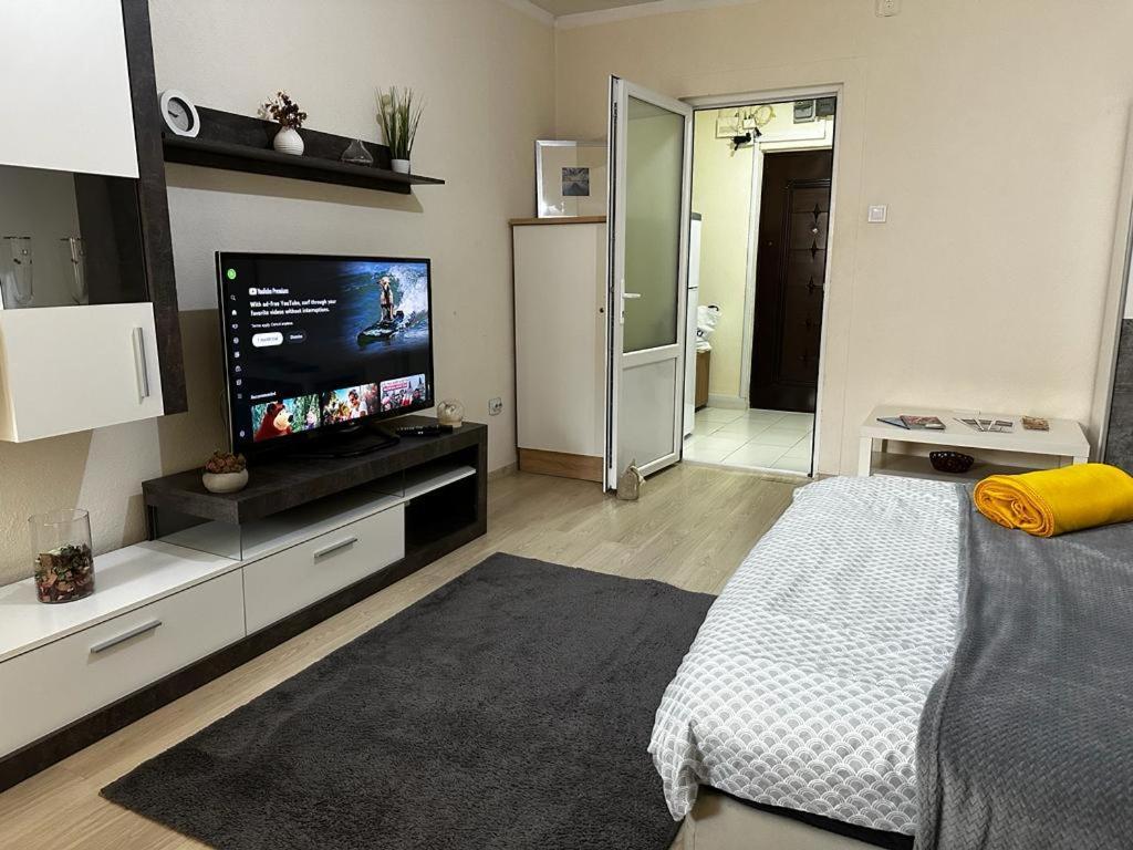 Reeas Apartament Тімішоара Екстер'єр фото